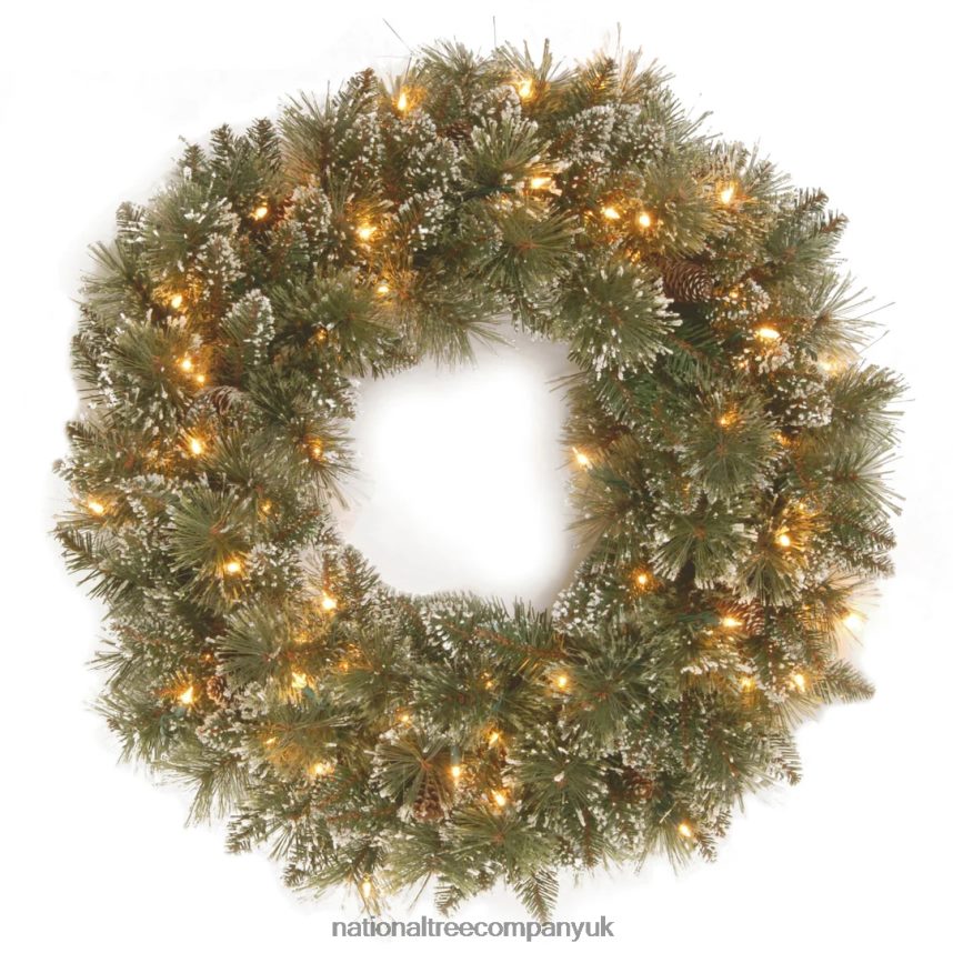 Greenery | National Tree Company Pre-Lit Artificial Christmas Wreath Glittery Bristle Pine with Twinkly LED Lights Plug in 24 in F2L4F310